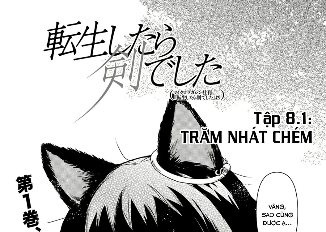 Khi Tôi Chuyển Sinh Thành Một Thanh Kiếm Chapter 8 - Trang 2