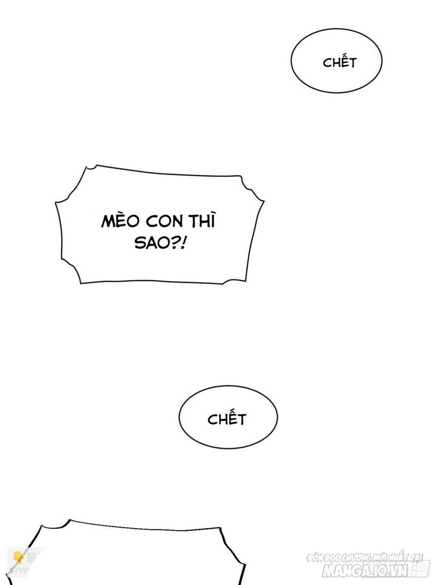 Khô Cốt Hiệp Sĩ Chapter 139 - Trang 2