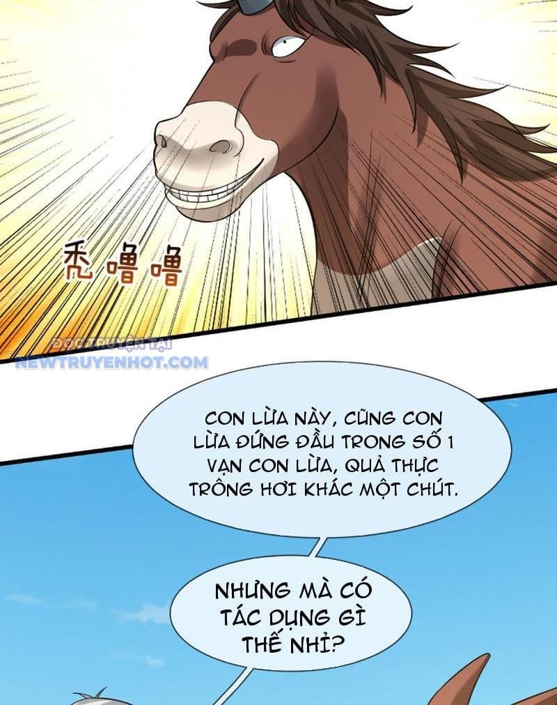 Khởi Đầu Bằng Một Vạn Hít Đất: Oanh Sát Thần Minh! Chapter 25 - Trang 2