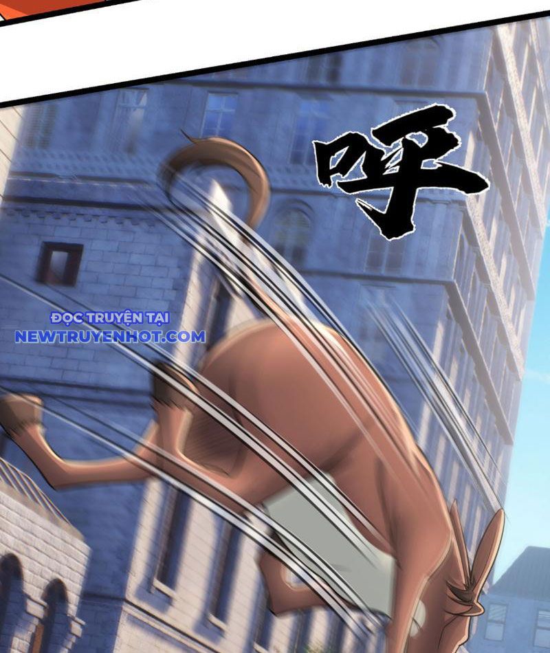 Khởi Đầu Bằng Một Vạn Hít Đất: Oanh Sát Thần Minh! Chapter 27 - Trang 2