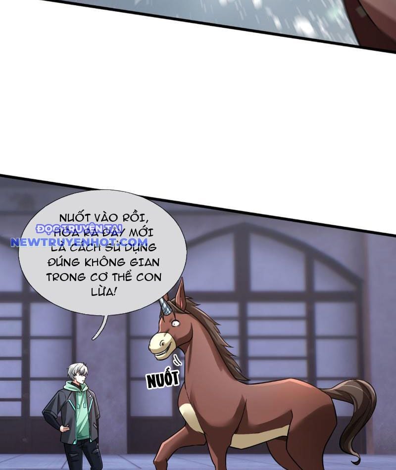 Khởi Đầu Bằng Một Vạn Hít Đất: Oanh Sát Thần Minh! Chapter 27 - Trang 2