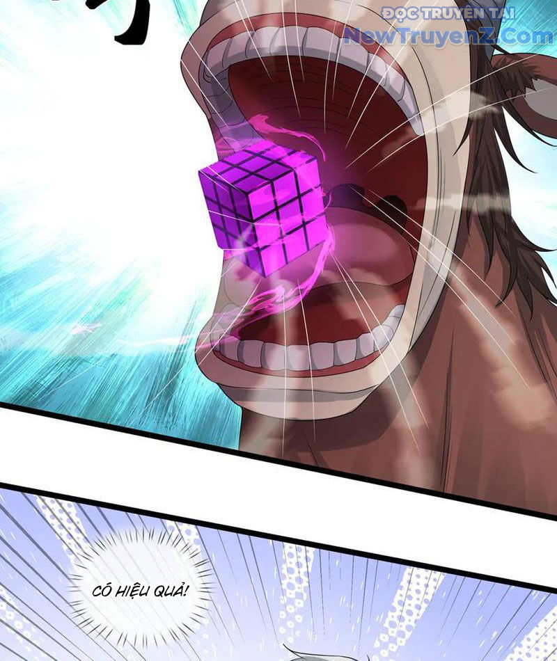 Khởi Đầu Bằng Một Vạn Hít Đất: Oanh Sát Thần Minh! Chapter 37 - Trang 2