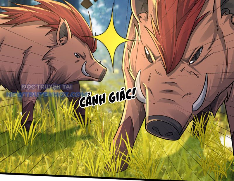 Khởi Đầu Bằng Một Vạn Hít Đất: Oanh Sát Thần Minh! Chapter 4 - Trang 2