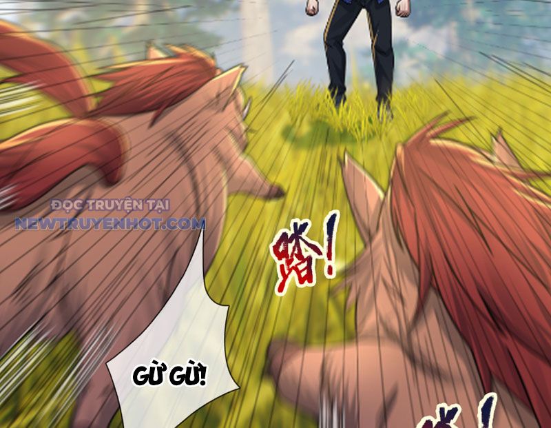 Khởi Đầu Bằng Một Vạn Hít Đất: Oanh Sát Thần Minh! Chapter 4 - Trang 2