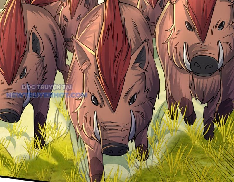 Khởi Đầu Bằng Một Vạn Hít Đất: Oanh Sát Thần Minh! Chapter 4 - Trang 2