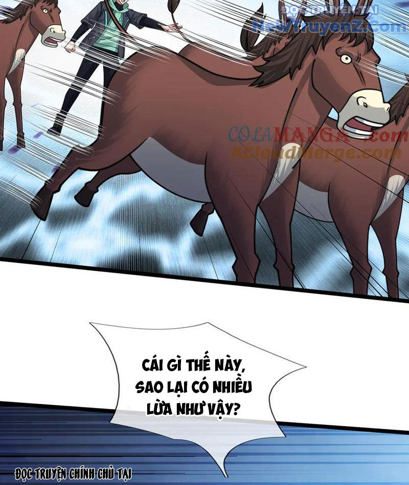 Khởi Đầu Bằng Một Vạn Hít Đất: Oanh Sát Thần Minh! Chapter 42 - Trang 2