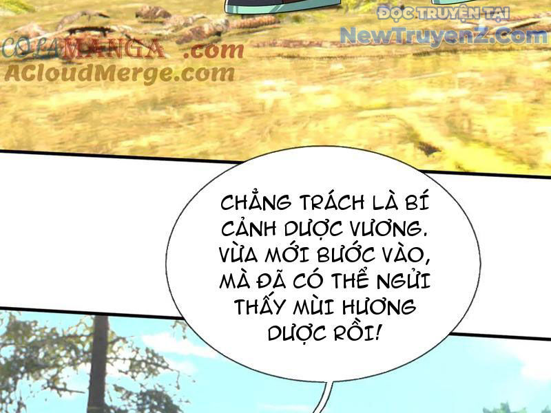 Khởi Đầu Bằng Một Vạn Hít Đất: Oanh Sát Thần Minh! Chapter 47 - Trang 2