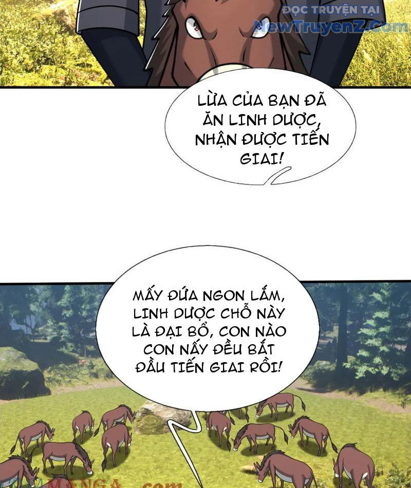 Khởi Đầu Bằng Một Vạn Hít Đất: Oanh Sát Thần Minh! Chapter 49 - Trang 2