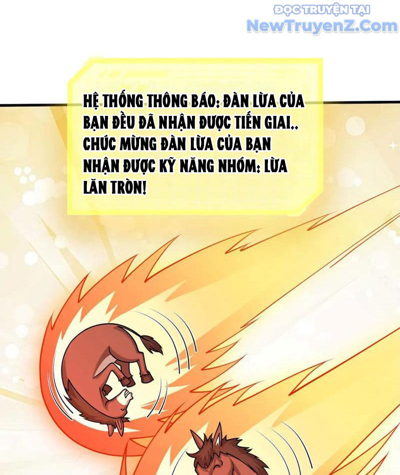 Khởi Đầu Bằng Một Vạn Hít Đất: Oanh Sát Thần Minh! Chapter 49 - Trang 2