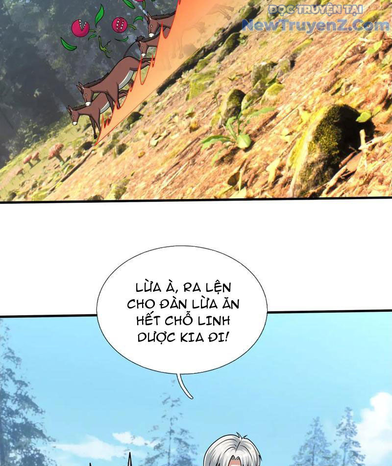 Khởi Đầu Bằng Một Vạn Hít Đất: Oanh Sát Thần Minh! Chapter 49 - Trang 2