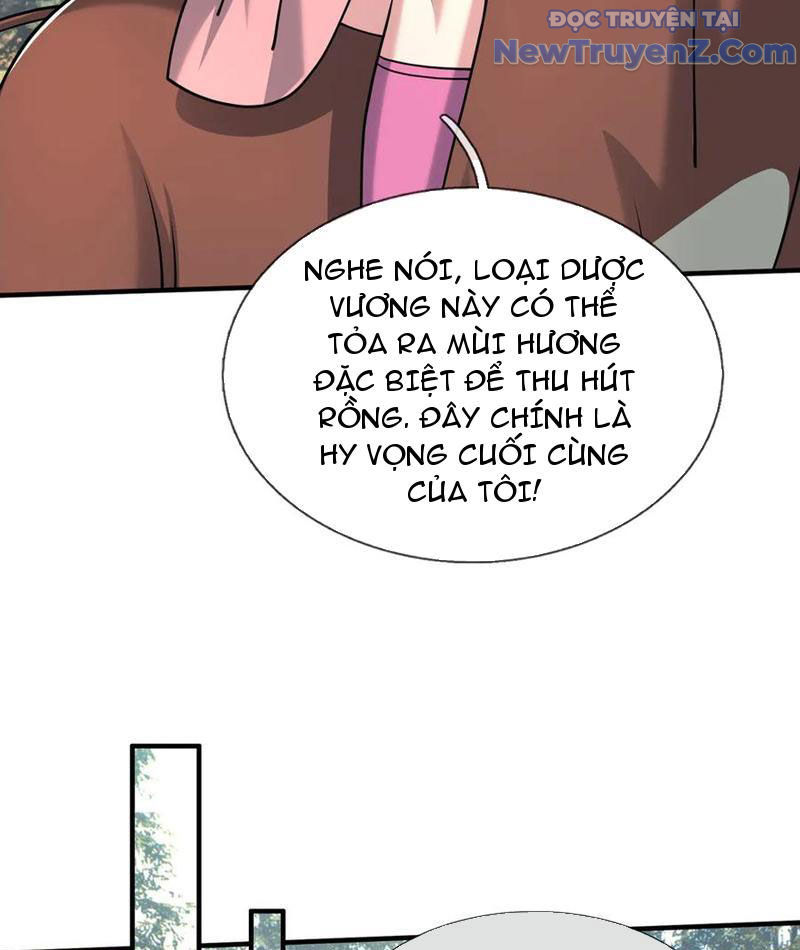 Khởi Đầu Bằng Một Vạn Hít Đất: Oanh Sát Thần Minh! Chapter 49 - Trang 2