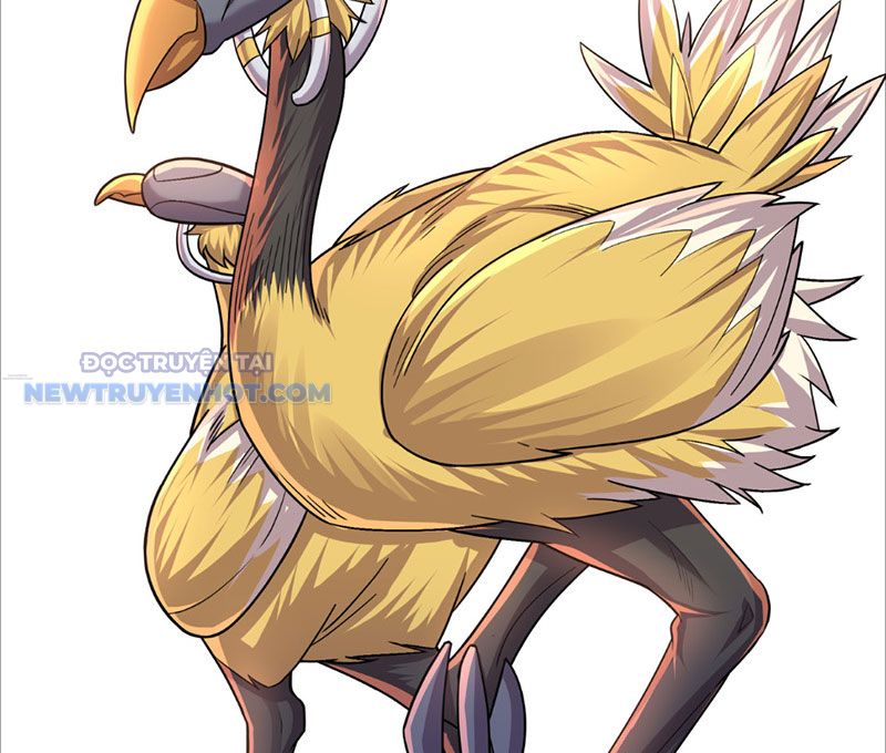 Khởi Đầu Bằng Một Vạn Hít Đất: Oanh Sát Thần Minh! Chapter 5 - Trang 2