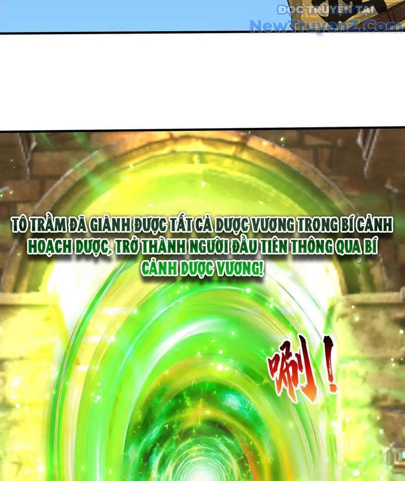 Khởi Đầu Bằng Một Vạn Hít Đất: Oanh Sát Thần Minh! Chapter 53 - Trang 2