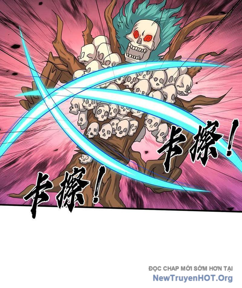 Khởi Đầu Bằng Một Vạn Hít Đất: Oanh Sát Thần Minh! Chapter 58 - Trang 2