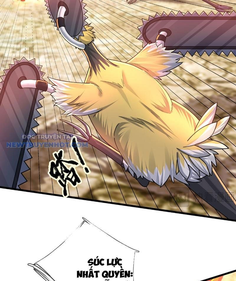 Khởi Đầu Bằng Một Vạn Hít Đất: Oanh Sát Thần Minh! Chapter 6 - Trang 2