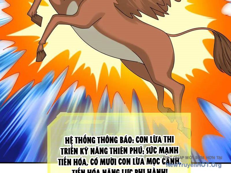 Khởi Đầu Bằng Một Vạn Hít Đất: Oanh Sát Thần Minh! Chapter 65 - Trang 2