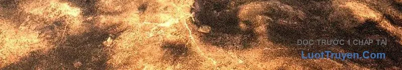 Khởi Đầu Bằng Một Vạn Hít Đất: Oanh Sát Thần Minh! Chapter 72 - Trang 2