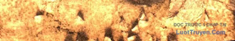 Khởi Đầu Bằng Một Vạn Hít Đất: Oanh Sát Thần Minh! Chapter 72 - Trang 2