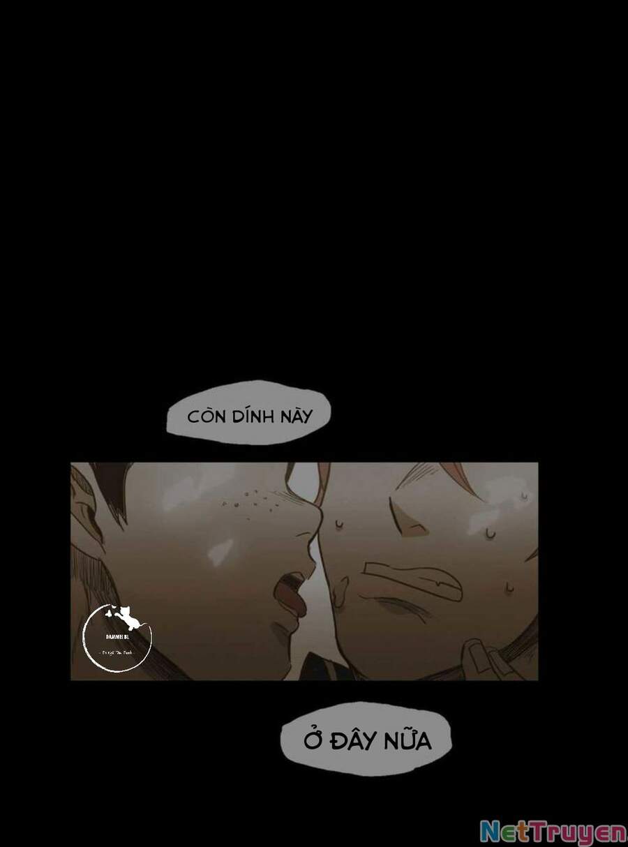 Không Bao Giờ Hiểu Chapter 40 - Trang 2