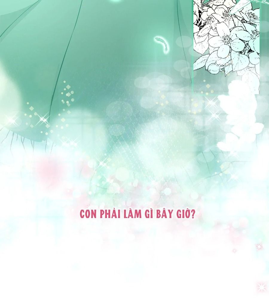 Không Bao Giờ Trở Về Gia Đình Đã Bỏ Rơi Tôi Chapter 13 - Trang 2