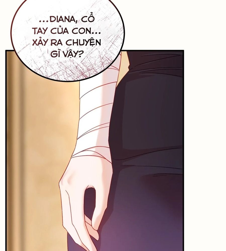 Không Bao Giờ Trở Về Gia Đình Đã Bỏ Rơi Tôi Chapter 13 - Trang 2