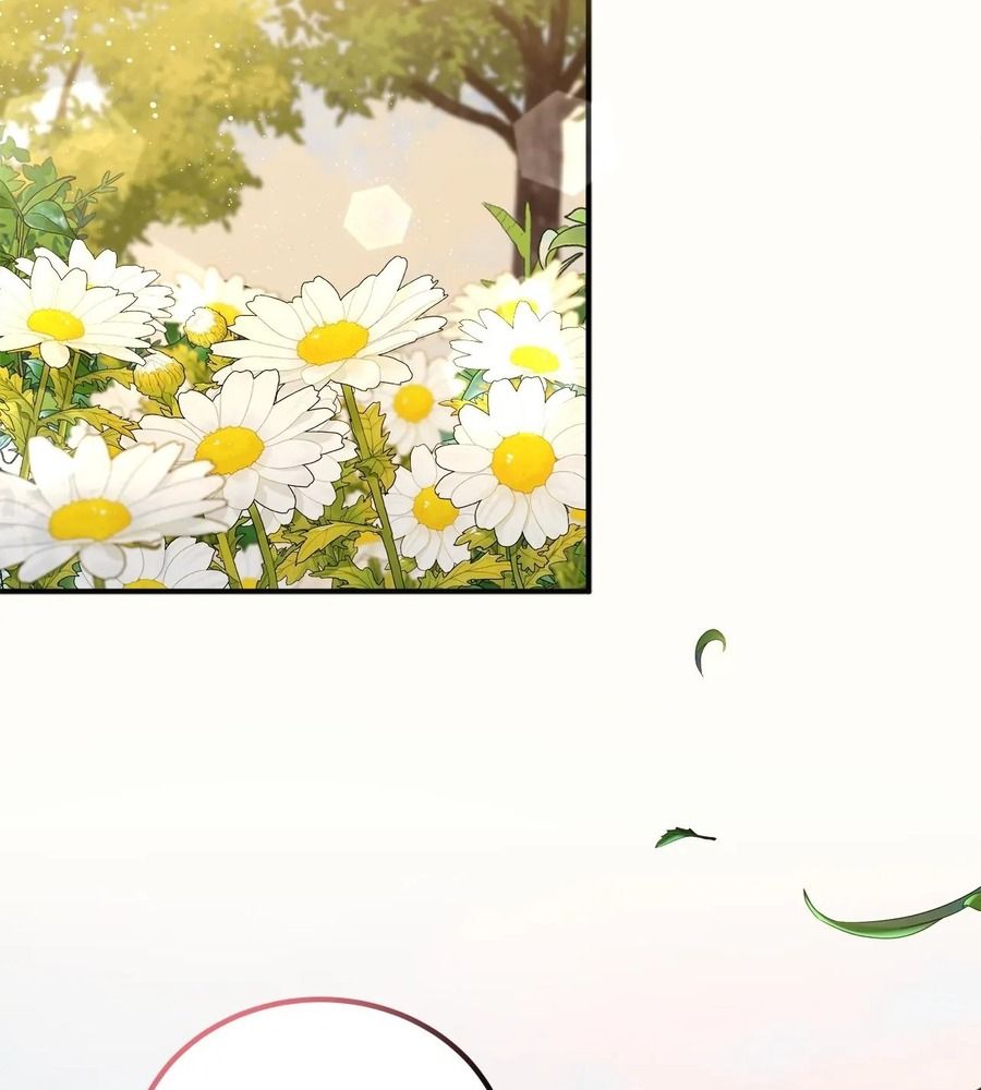 Không Bao Giờ Trở Về Gia Đình Đã Bỏ Rơi Tôi Chapter 13 - Trang 2