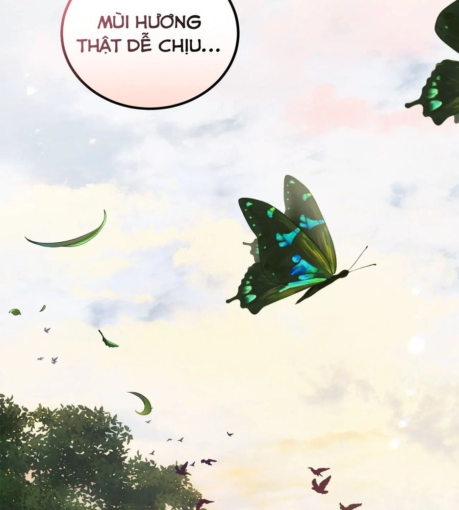 Không Bao Giờ Trở Về Gia Đình Đã Bỏ Rơi Tôi Chapter 13 - Trang 2
