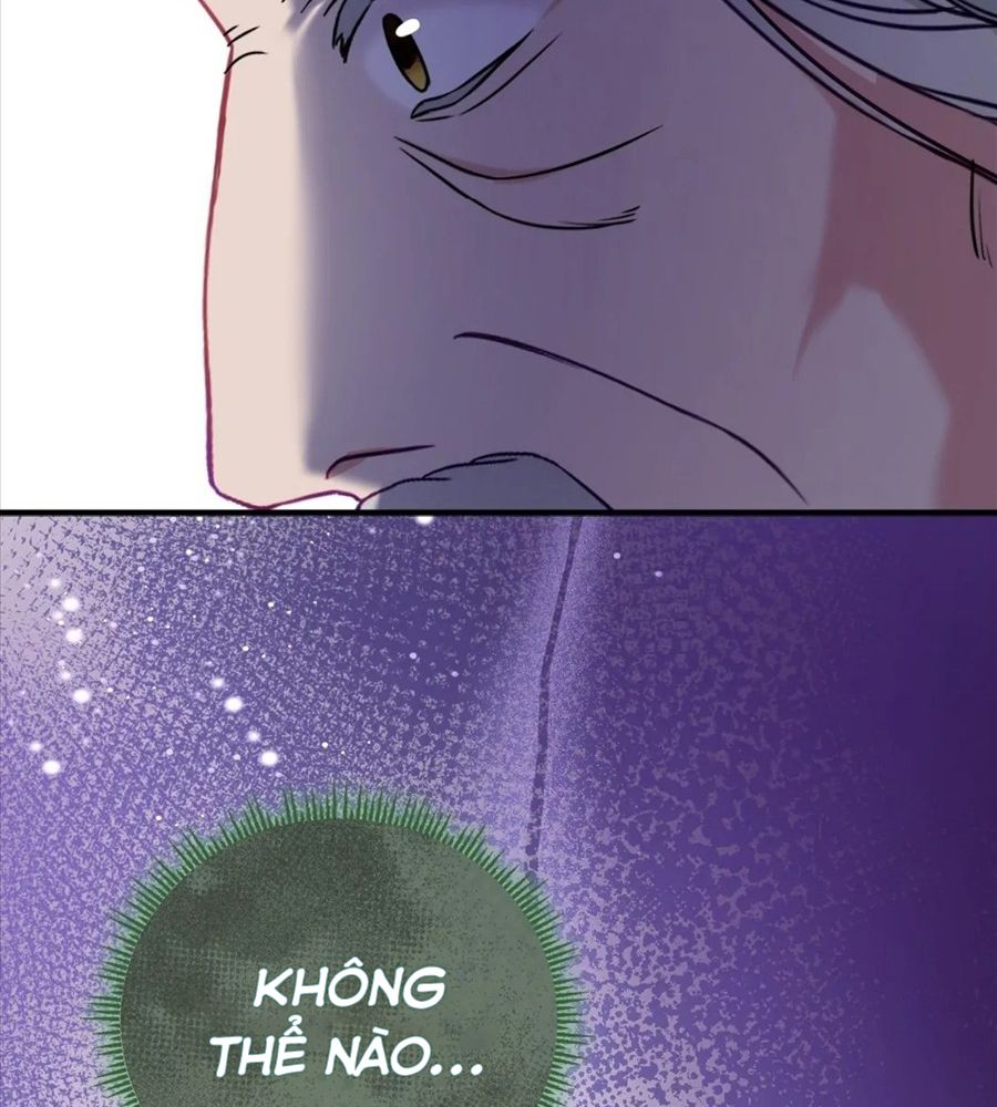 Không Bao Giờ Trở Về Gia Đình Đã Bỏ Rơi Tôi Chapter 19 - Trang 2