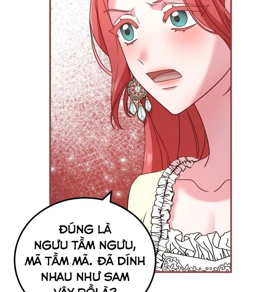 Không Bao Giờ Trở Về Gia Đình Đã Bỏ Rơi Tôi Chapter 21 - Trang 2