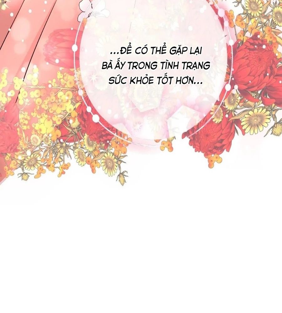 Không Bao Giờ Trở Về Gia Đình Đã Bỏ Rơi Tôi Chapter 24 - Trang 2