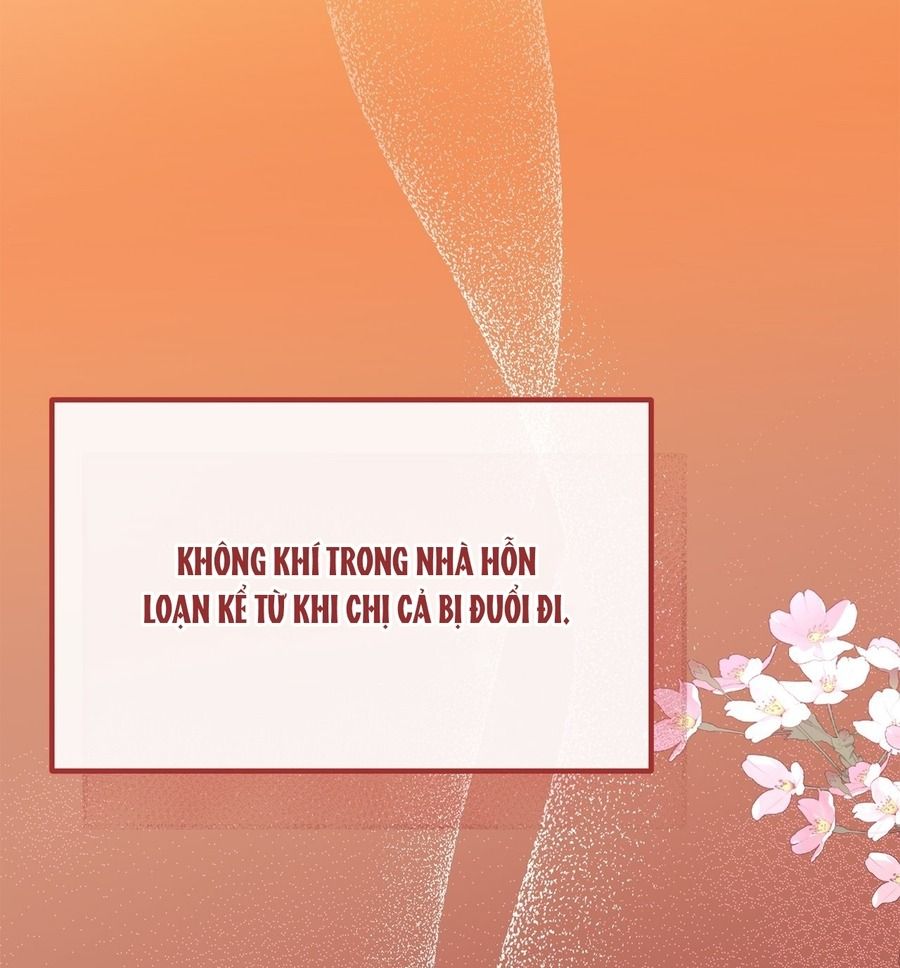 Không Bao Giờ Trở Về Gia Đình Đã Bỏ Rơi Tôi Chapter 35 - Trang 2