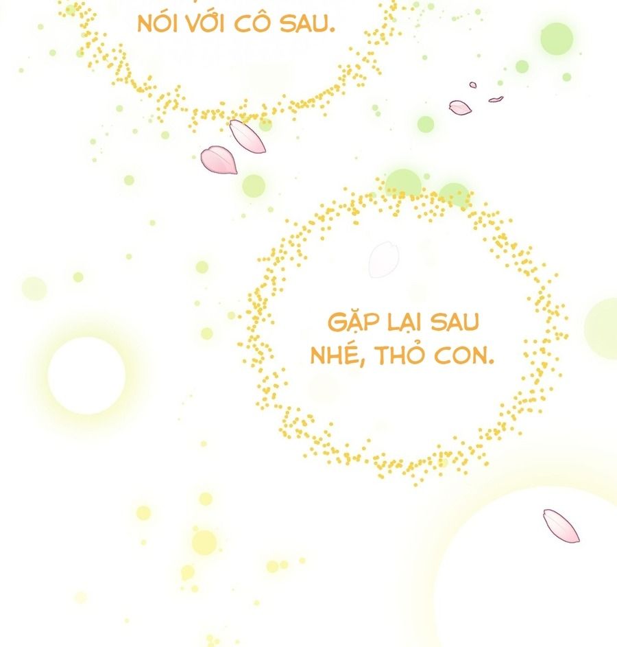 Không Bao Giờ Trở Về Gia Đình Đã Bỏ Rơi Tôi Chapter 35 - Trang 2