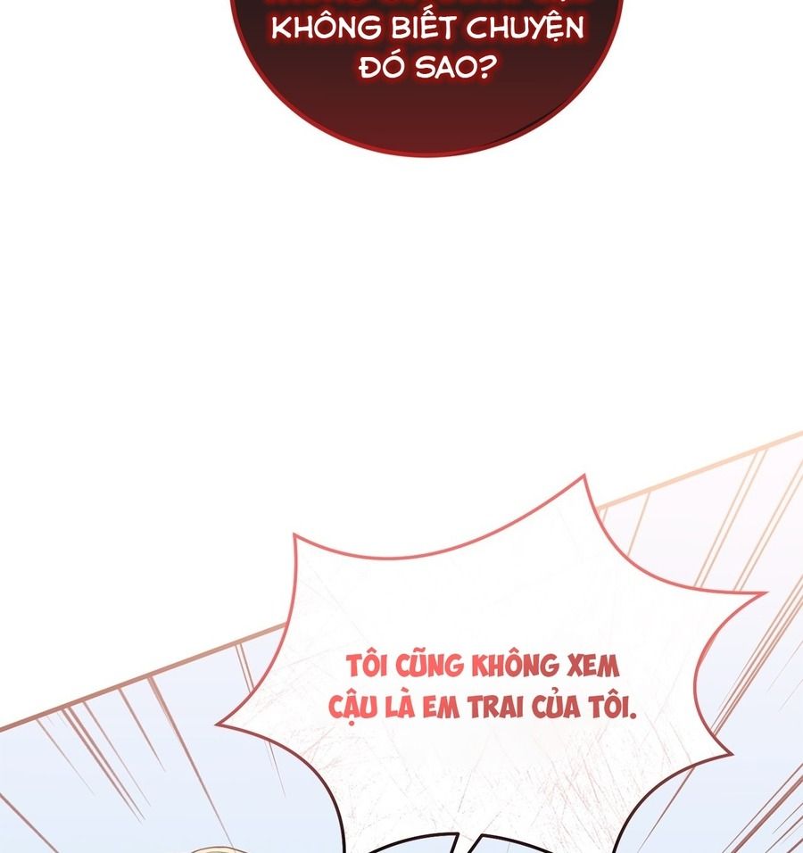 Không Bao Giờ Trở Về Gia Đình Đã Bỏ Rơi Tôi Chapter 35 - Trang 2