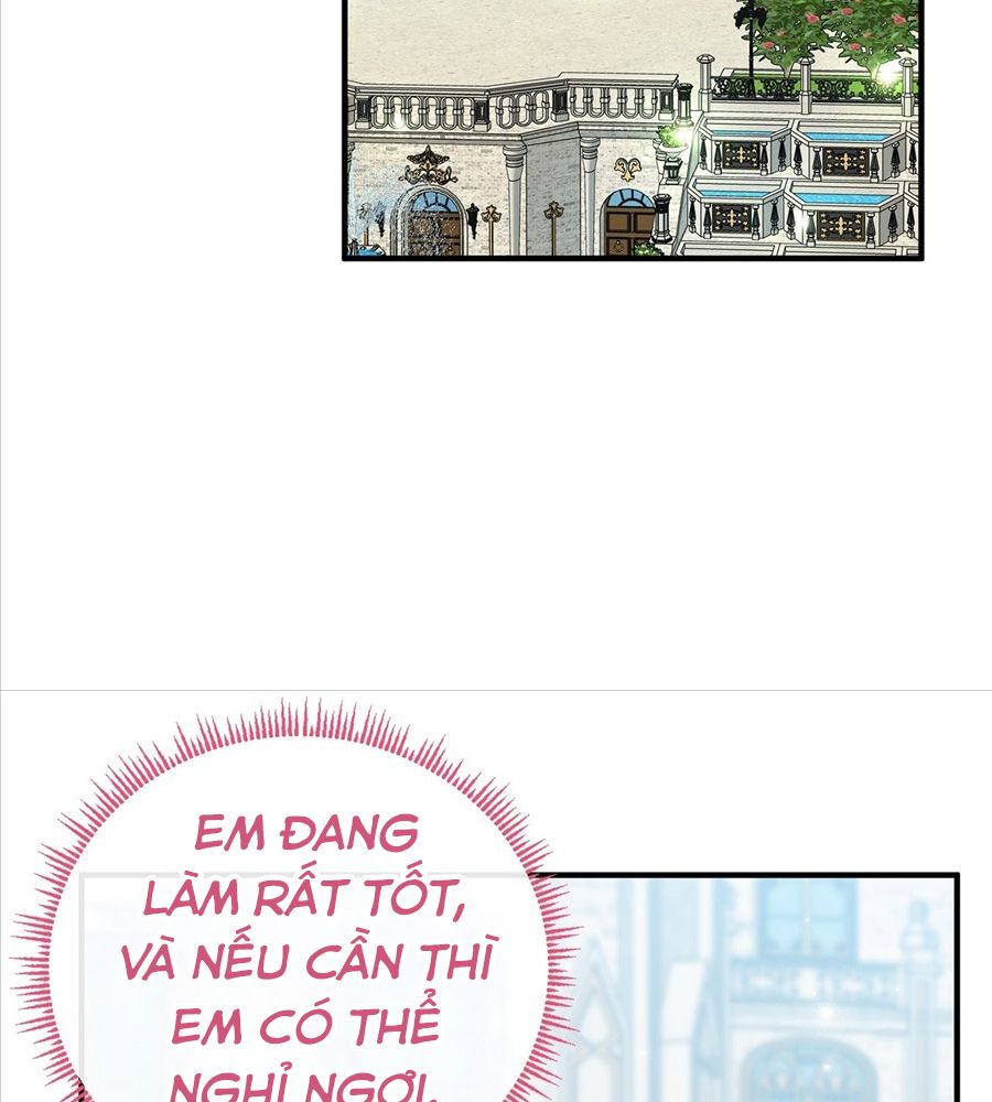Không Bao Giờ Trở Về Gia Đình Đã Bỏ Rơi Tôi Chapter 39 - Trang 2