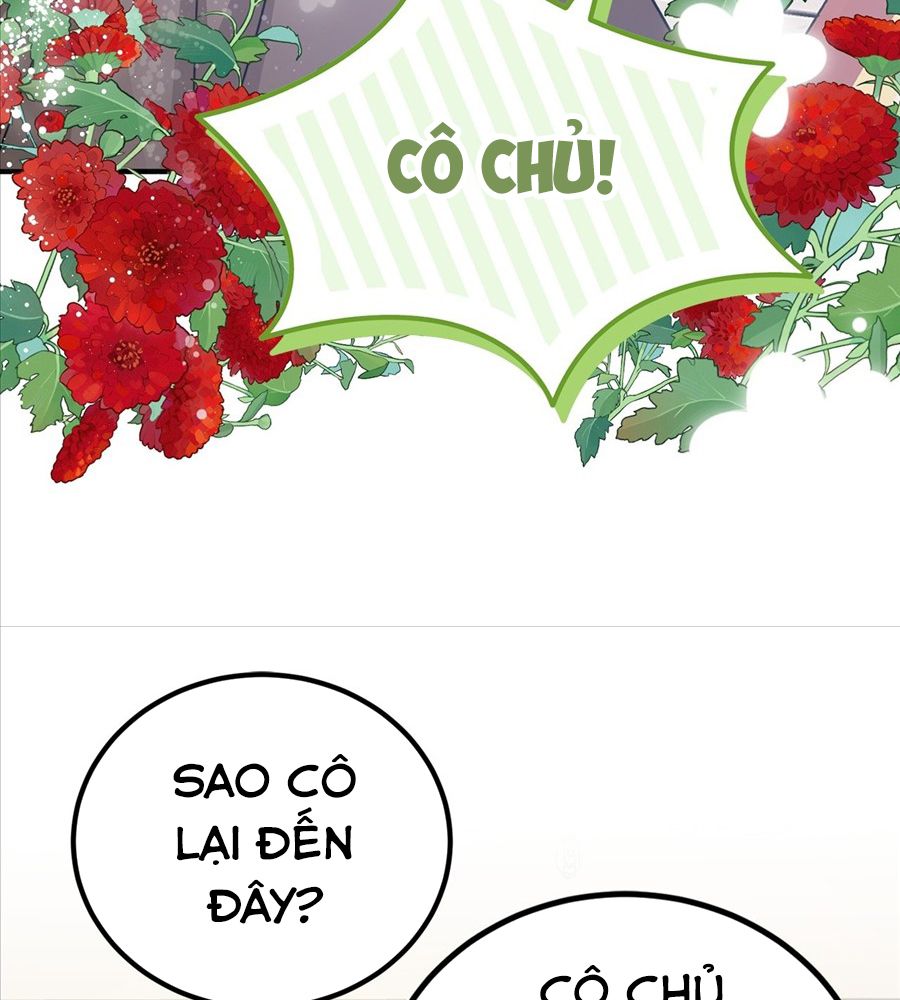 Không Bao Giờ Trở Về Gia Đình Đã Bỏ Rơi Tôi Chapter 40 - Trang 2