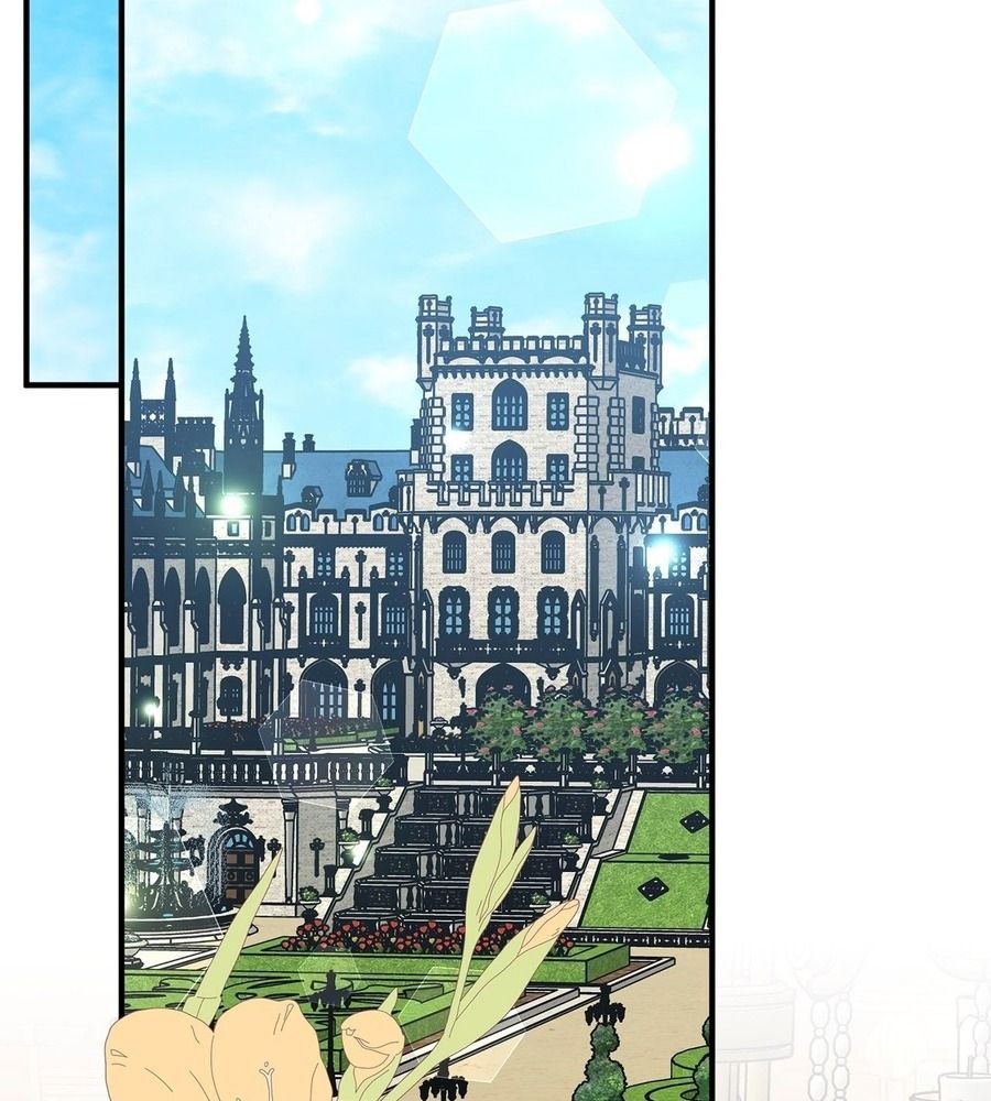Không Bao Giờ Trở Về Gia Đình Đã Bỏ Rơi Tôi Chapter 50 - Trang 2