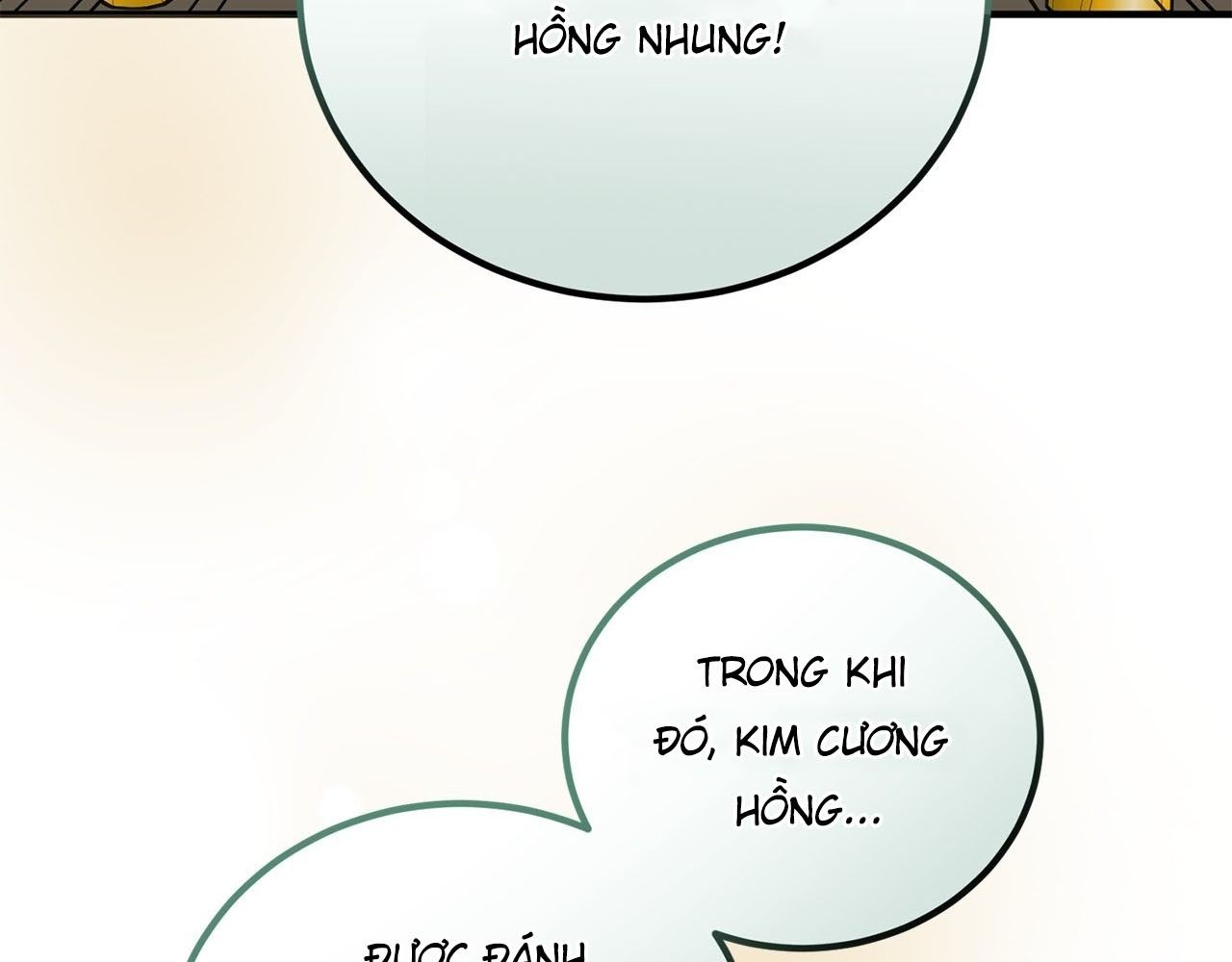 Không Bao Giờ Trở Về Gia Đình Đã Bỏ Rơi Tôi Chapter 69 - Trang 2