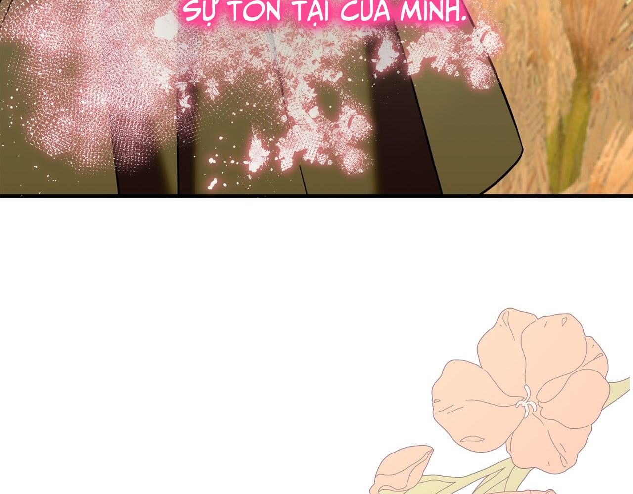 Không Bao Giờ Trở Về Gia Đình Đã Bỏ Rơi Tôi Chapter 73 - Trang 2