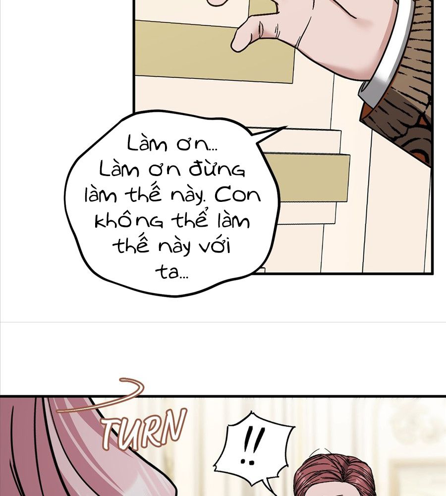 Không Bao Giờ Trở Về Gia Đình Đã Bỏ Rơi Tôi Chapter 74 - Trang 2