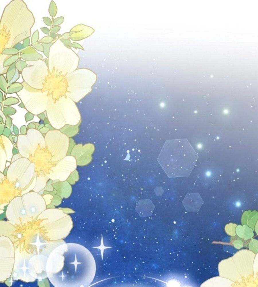 Không Bao Giờ Trở Về Gia Đình Đã Bỏ Rơi Tôi Chapter 81 - Trang 2