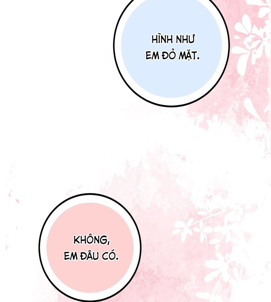 Không Bao Giờ Trở Về Gia Đình Đã Bỏ Rơi Tôi Chapter 82 - Trang 2