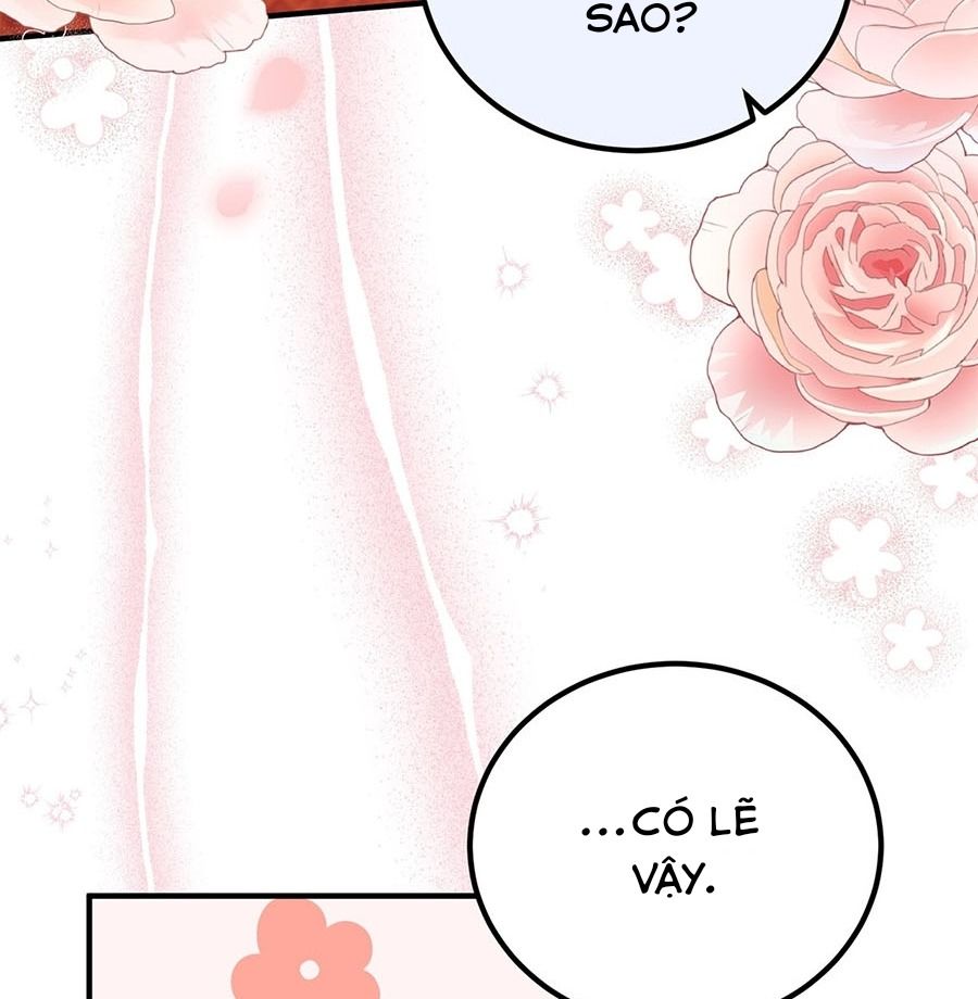 Không Bao Giờ Trở Về Gia Đình Đã Bỏ Rơi Tôi Chapter 84 - Trang 2