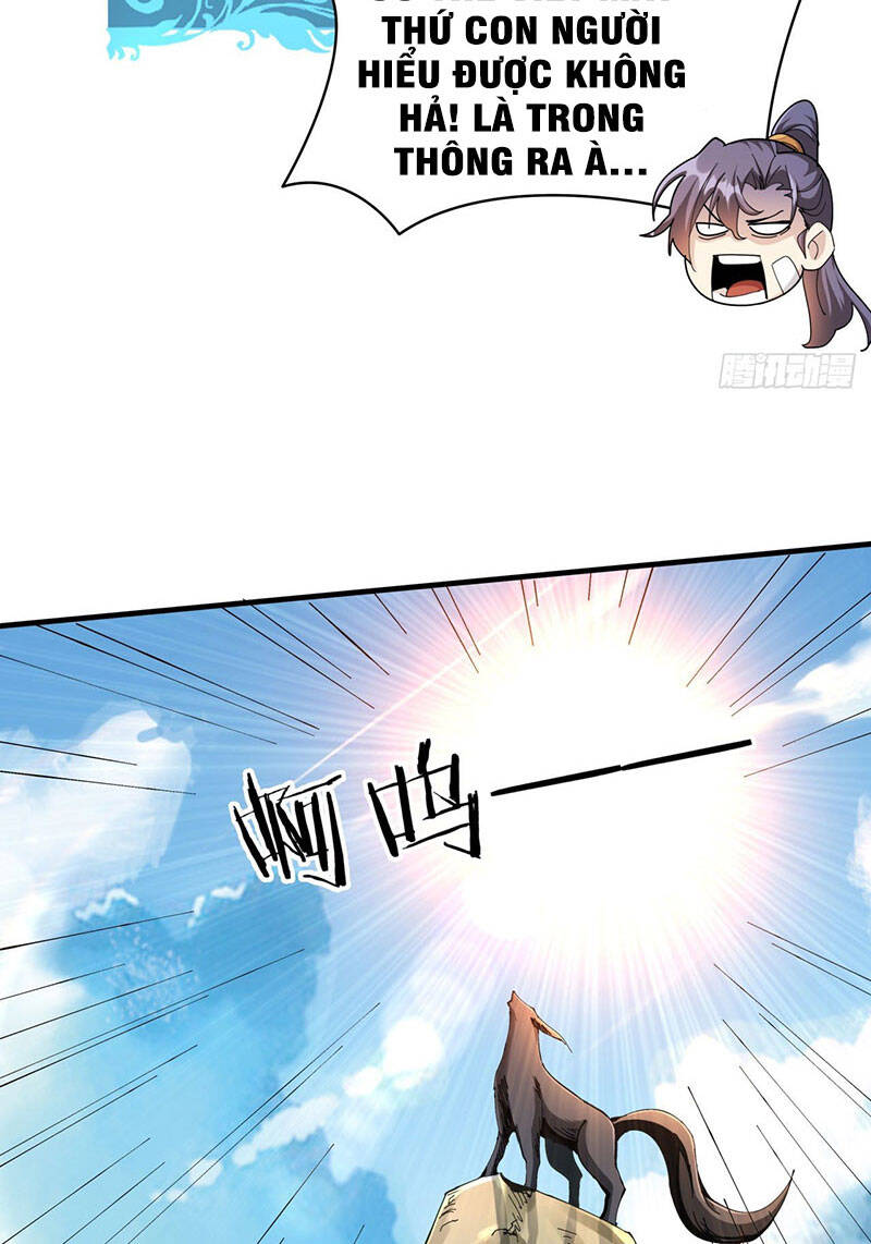 Không Có Đạo Lữ Sẽ Chết Chapter 4 - Trang 2