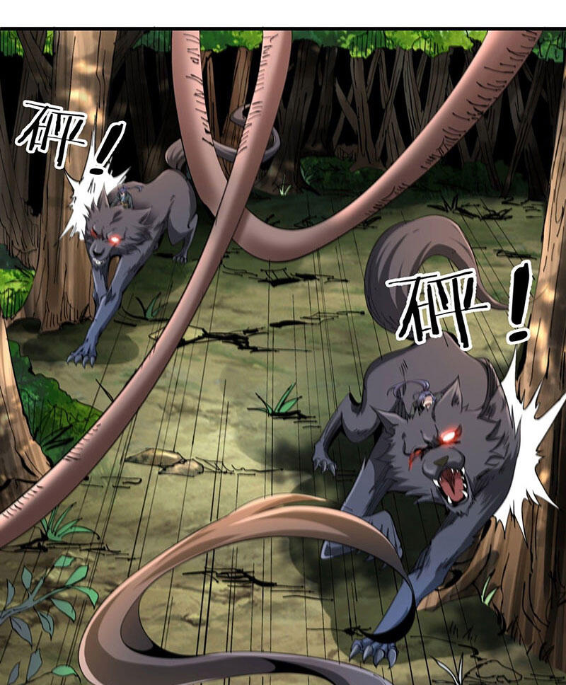 Không Có Đạo Lữ Sẽ Chết Chapter 5 - Trang 2