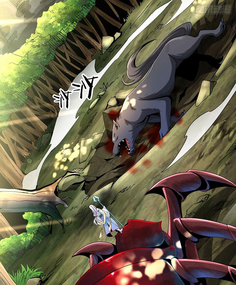 Không Có Đạo Lữ Sẽ Chết Chapter 5 - Trang 2