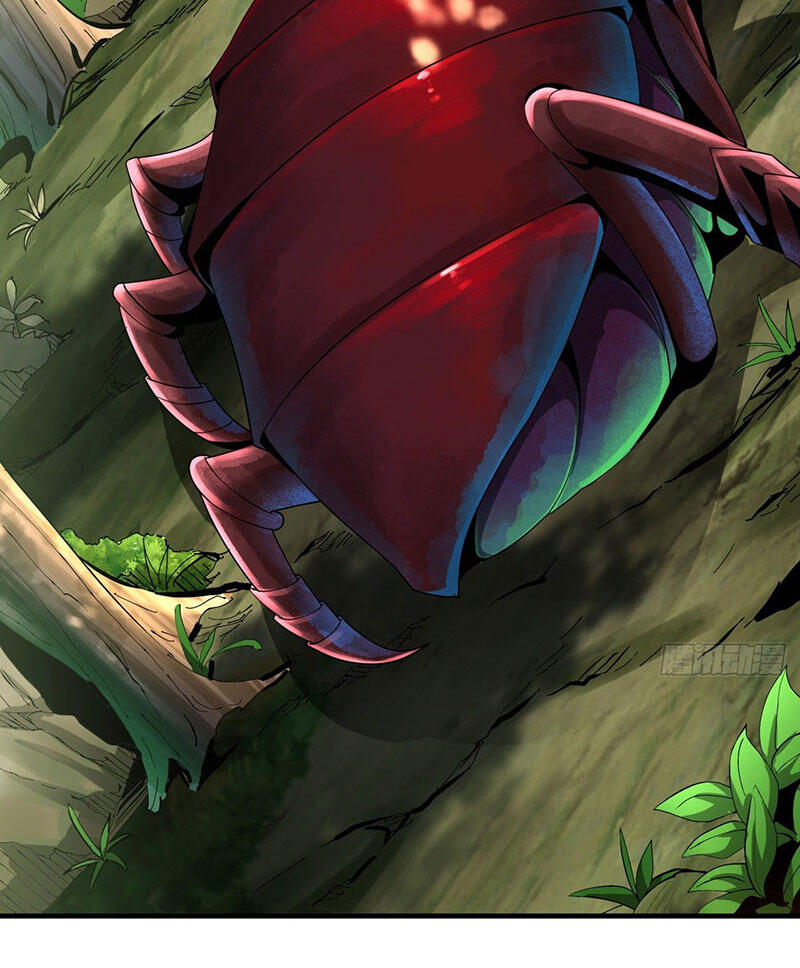 Không Có Đạo Lữ Sẽ Chết Chapter 5 - Trang 2