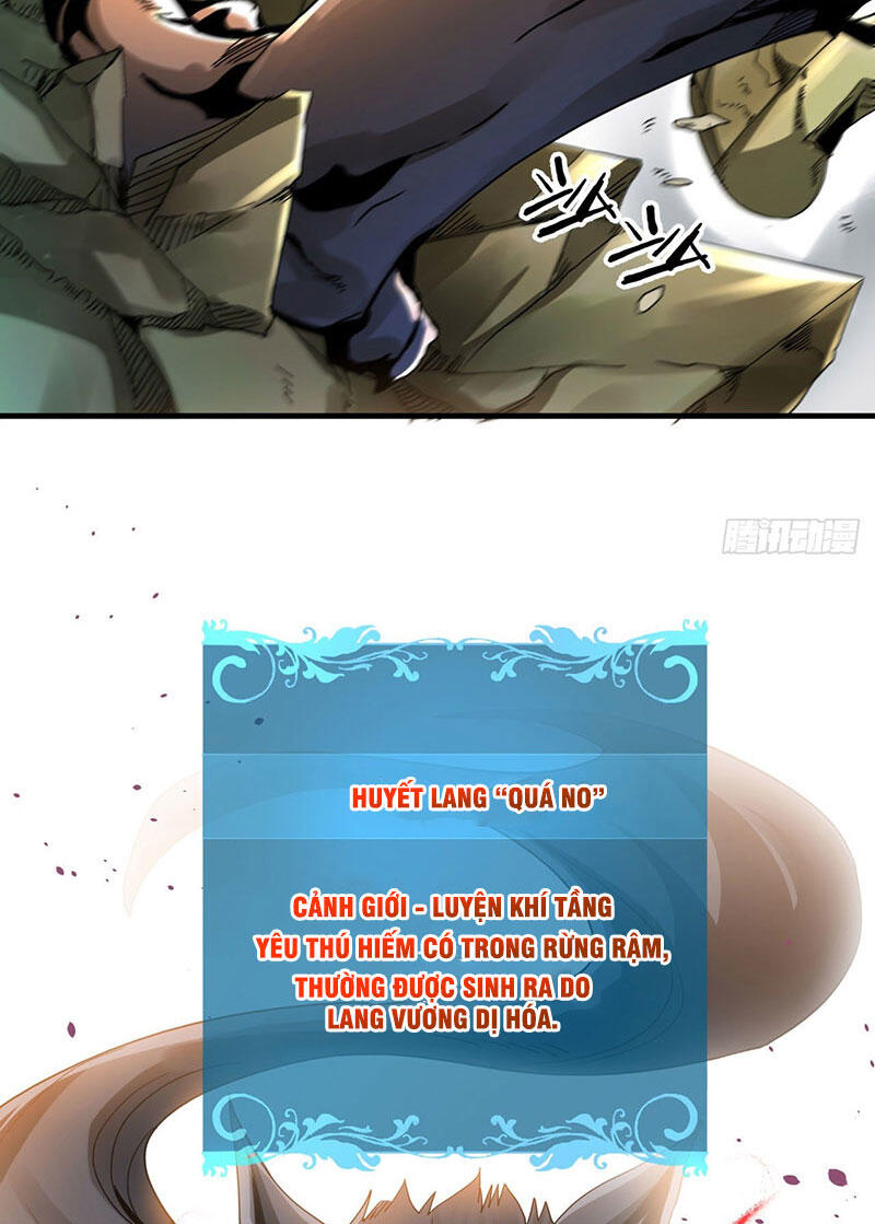 Không Có Đạo Lữ Sẽ Chết Chapter 5 - Trang 2