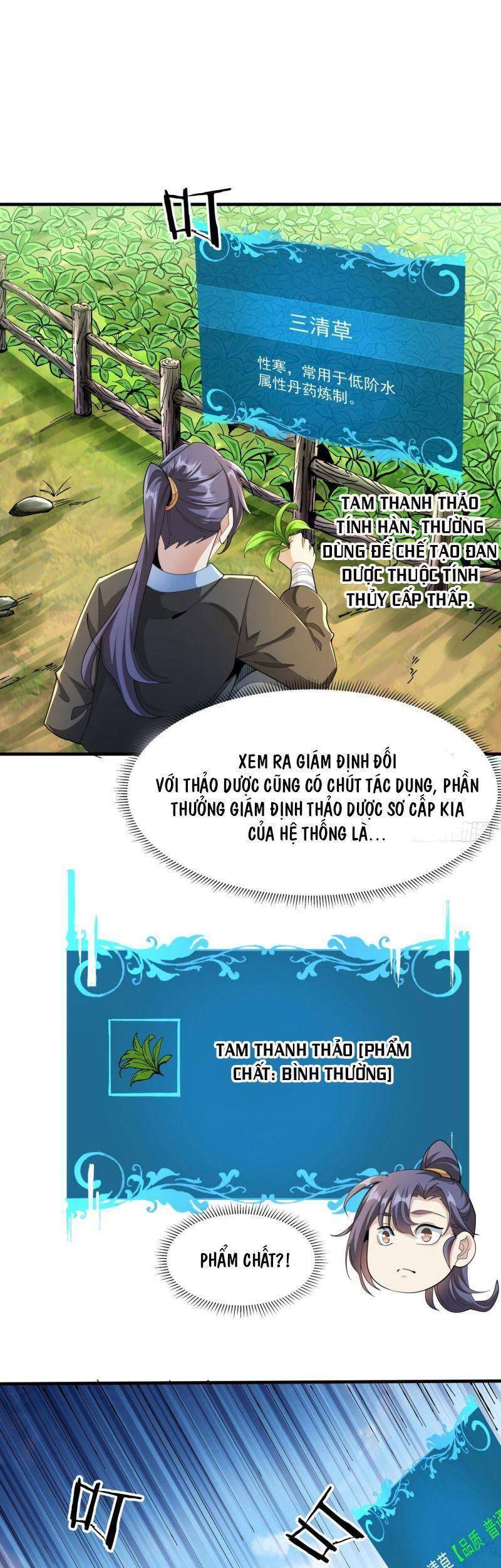 Không Có Đạo Lữ Sẽ Chết Chapter 8 - Trang 2