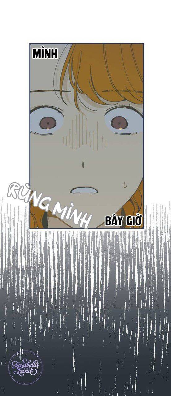 Không Có Người Đàn Ông Nào Dành Cho Tôi Chapter 1 - Trang 2