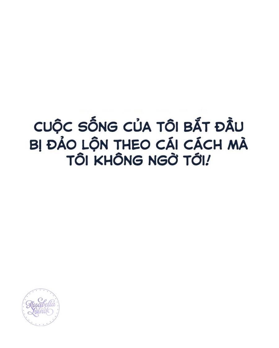 Không Có Người Đàn Ông Nào Dành Cho Tôi Chapter 1 - Trang 2